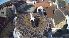 IMG_5623.jpeg