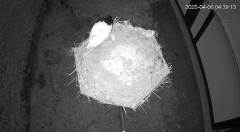 IMG_3866.jpeg