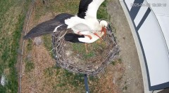 IMG_4128.jpeg