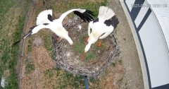 IMG_4069.jpeg