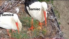 IMG_4065.jpeg
