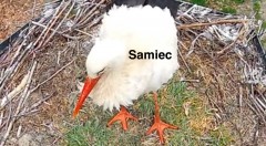 IMG_4137.jpeg