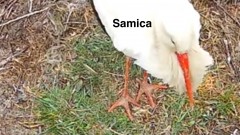 IMG_4133.jpeg