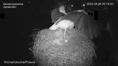 06-04'25 Wicina 00'19'42 Jadzia wstaje.png