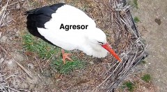 IMG_4068.jpeg