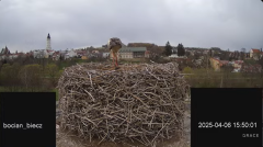 2025-04-06 19_10_53-Bociany Biecz - YouTube - Maxthon.png