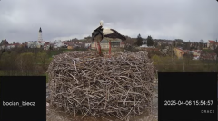 2025-04-06 19_12_40-Bociany Biecz - YouTube - Maxthon.png