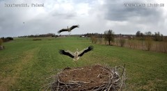 IMG_4160.jpeg