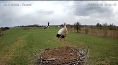 IMG_4164.jpeg