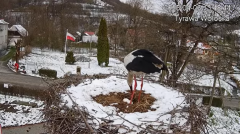2025-04-06 21_45_12-Tyrawa Wołoska - gniazdo bocianie - YouTube - Maxthon.png