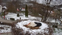 2025-04-06 21_45_15-Tyrawa Wołoska - gniazdo bocianie - YouTube - Maxthon.png