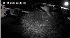 IMG_4255.jpeg