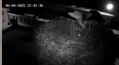 IMG_4257.jpeg