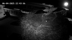 IMG_4264.jpeg