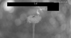 IMG_4237.jpeg