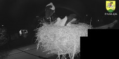 IMG_4230.jpeg