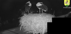 IMG_2342.jpeg