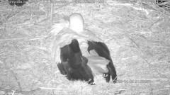 IMG_4210.jpeg