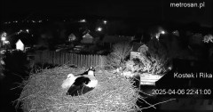 IMG_4299.jpeg