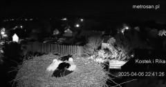 IMG_4300.jpeg