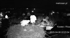 IMG_4301.jpeg