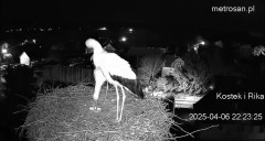IMG_4305.jpeg