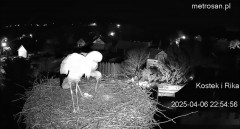 IMG_4310.jpeg