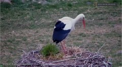 IMG_4191.jpeg