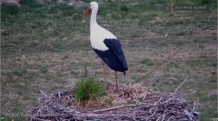 IMG_4193.jpeg
