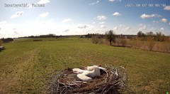IMG_4411.jpeg