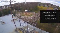 IMG_4517.jpeg