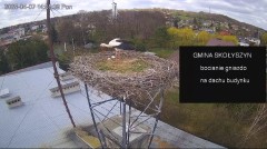 IMG_4523.jpeg