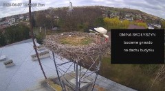 IMG_4526.jpeg