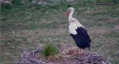 IMG_4441.jpeg