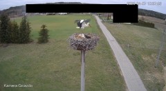 IMG_4485.jpeg