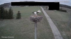 IMG_4486.jpeg