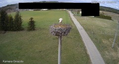 IMG_4502.jpeg