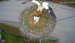 IMG_4475.jpeg