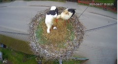 IMG_4476.jpeg