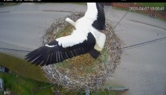 IMG_4478.jpeg