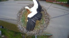 IMG_4481.jpeg