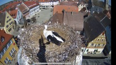 IMG_5671.jpeg