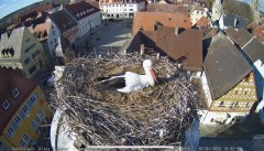 IMG_5693.jpeg