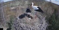 IMG_4353.jpeg