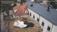 IMG_5694.jpeg