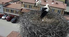 IMG_4449.jpeg