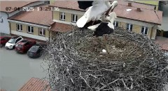 IMG_4454.jpeg