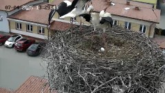 IMG_4456.jpeg
