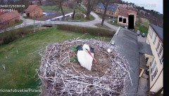IMG_5644.jpeg