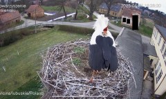 IMG_5690.jpeg